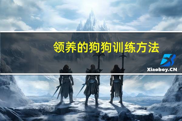 领养的狗狗训练方法
