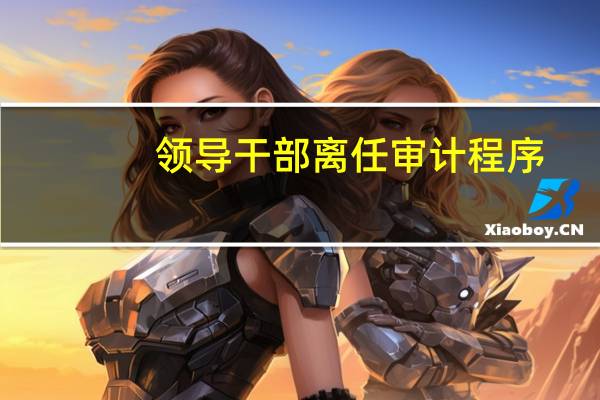 领导干部离任审计程序