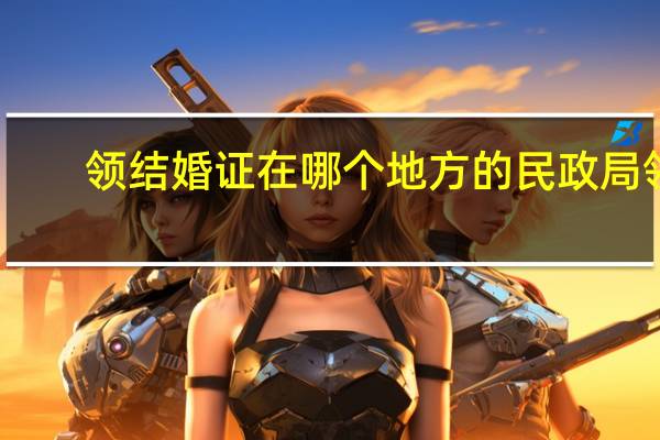 领结婚证在哪个地方的民政局领