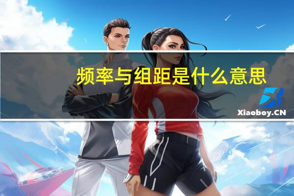 频率与组距是什么意思