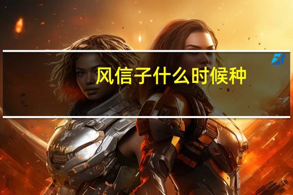 风信子什么时候种