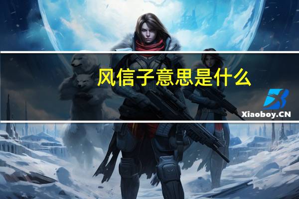 风信子意思是什么