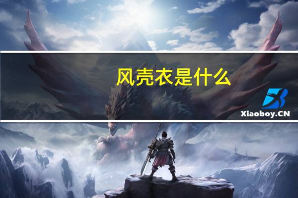 风壳衣是什么