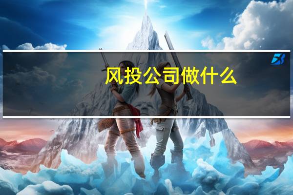 风投公司做什么
