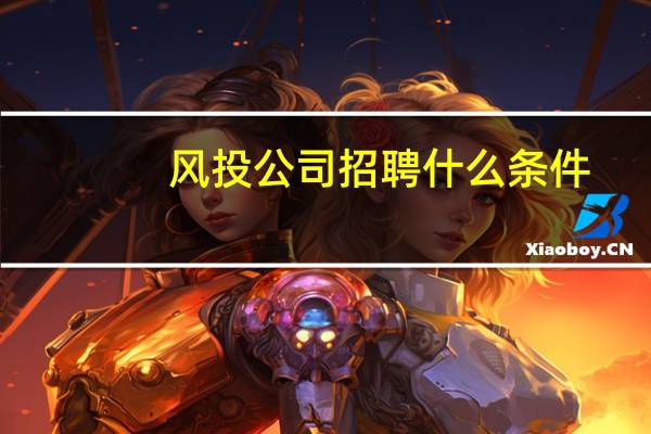 风投公司招聘什么条件
