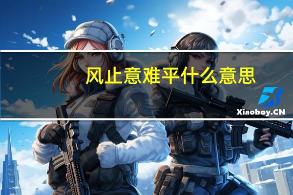 风止意难平什么意思
