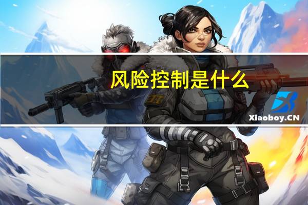 风险控制是什么