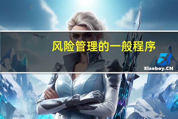 风险管理的一般程序