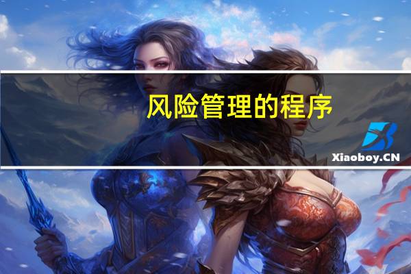 风险管理的程序