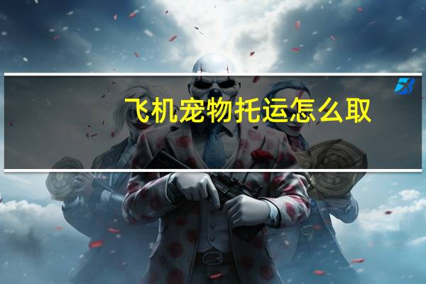 飞机宠物托运怎么取