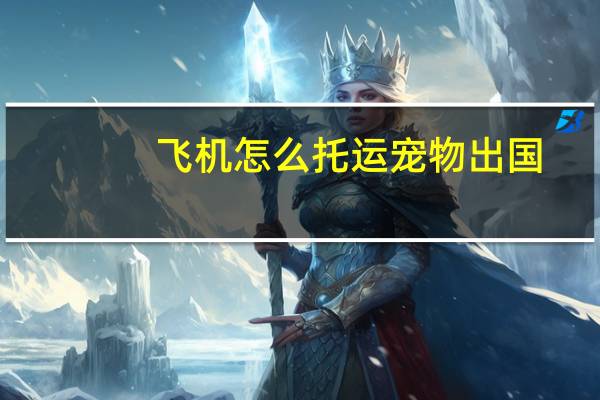 飞机怎么托运宠物出国