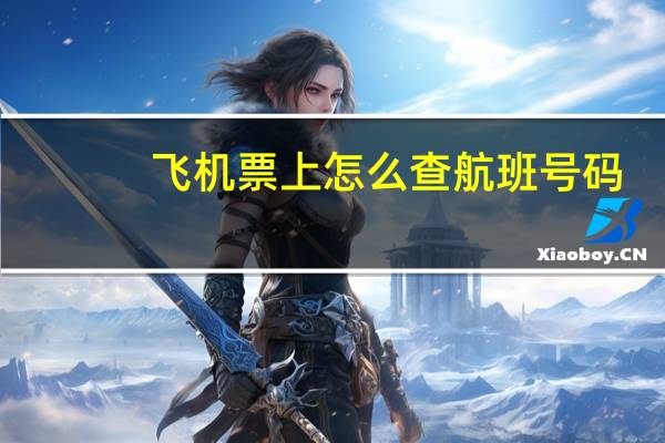 飞机票上怎么查航班号码