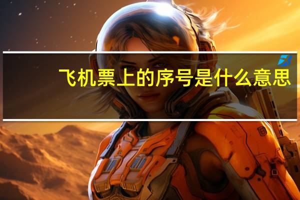 飞机票上的序号是什么意思