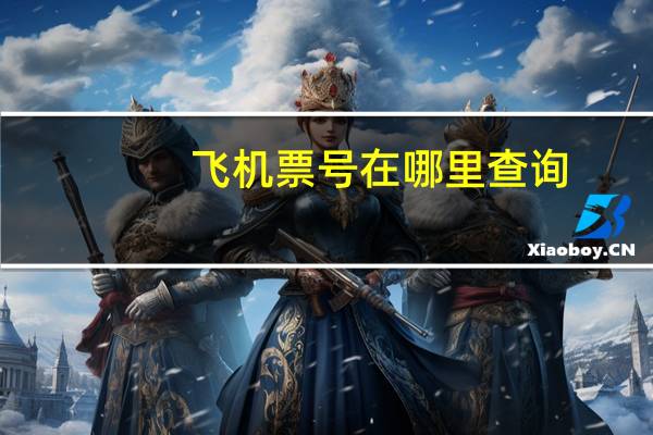 飞机票号在哪里查询