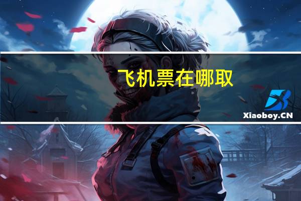 飞机票在哪取