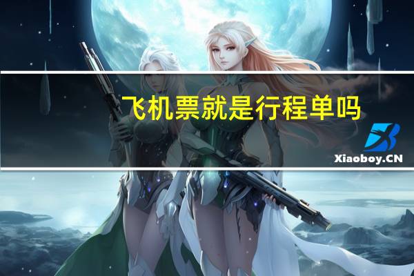 飞机票就是行程单吗