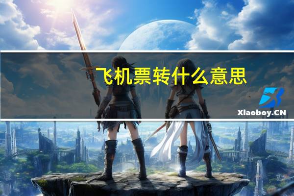 飞机票转什么意思