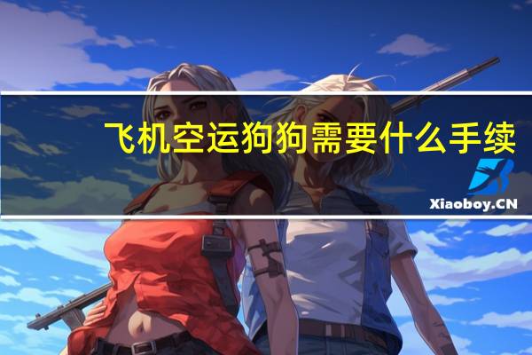 飞机空运狗狗需要什么手续