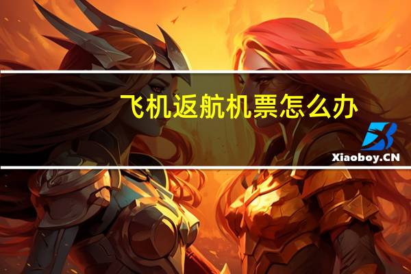 飞机返航机票怎么办