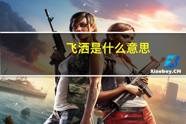 飞洒是什么意思