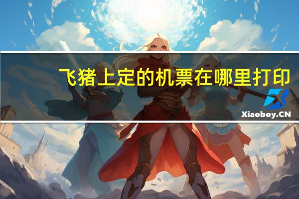 飞猪上定的机票在哪里打印