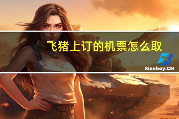 飞猪上订的机票怎么取