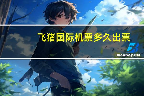 飞猪国际机票多久出票