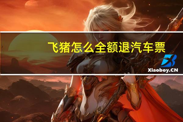 飞猪怎么全额退汽车票