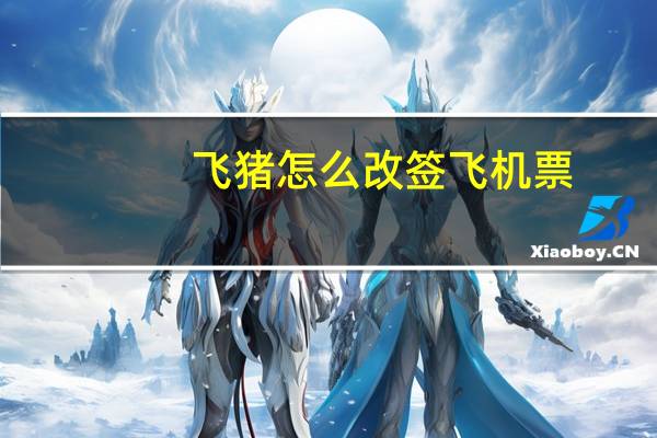 飞猪怎么改签飞机票