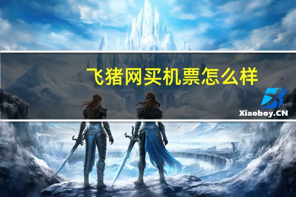 飞猪网买机票怎么样