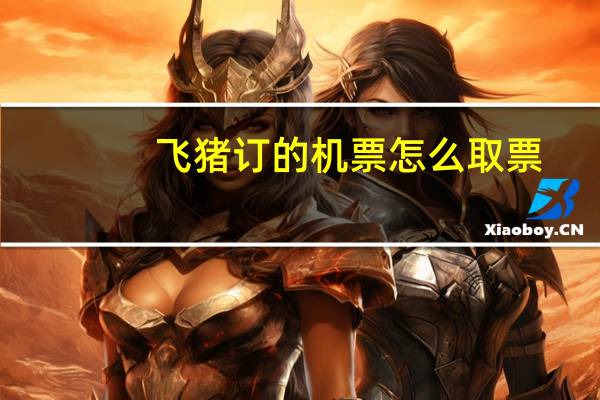 飞猪订的机票怎么取票