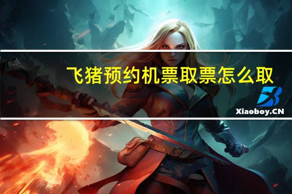飞猪预约机票取票怎么取