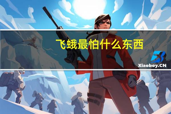 飞蛾最怕什么东西