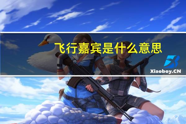 飞行嘉宾是什么意思