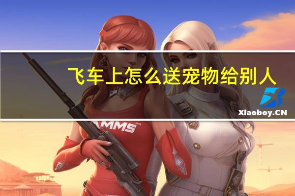 飞车上怎么送宠物给别人