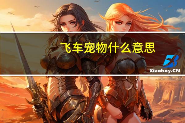 飞车宠物什么意思