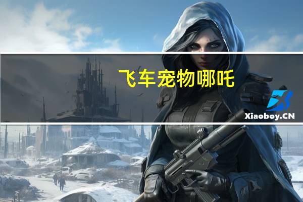 飞车宠物哪吒