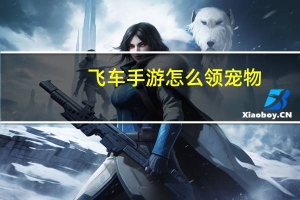 飞车手游怎么领宠物