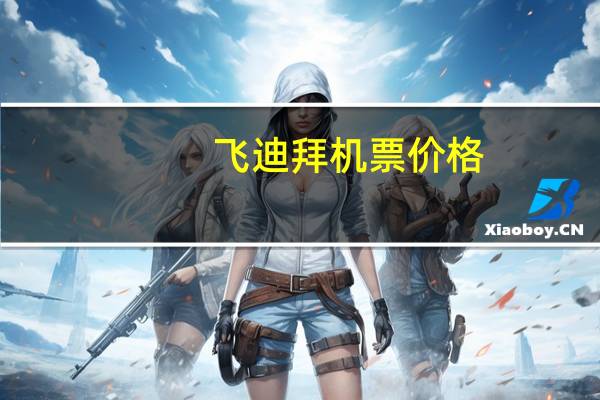 飞迪拜机票价格