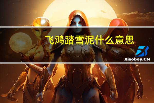 飞鸿踏雪泥什么意思