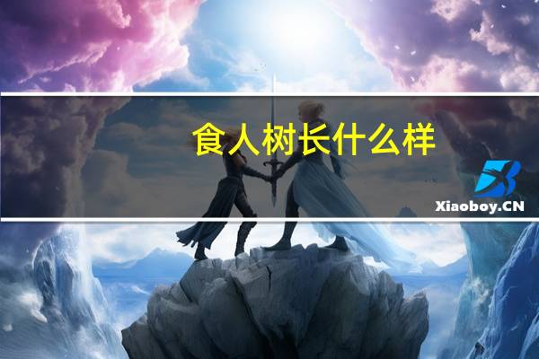 食人树长什么样
