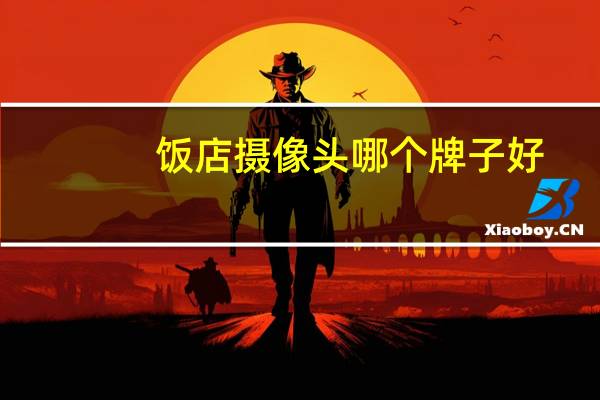 饭店摄像头哪个牌子好