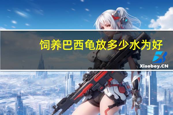 饲养巴西龟放多少水为好