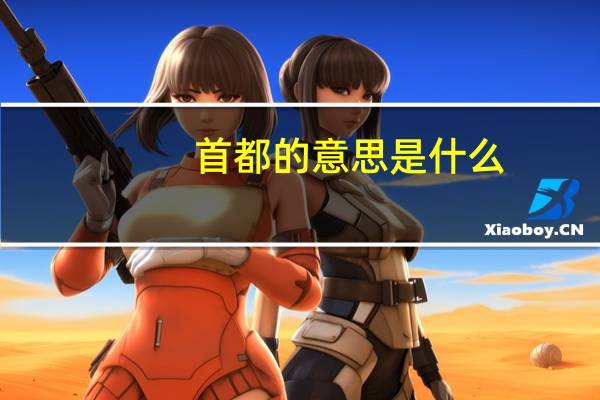 首都的意思是什么