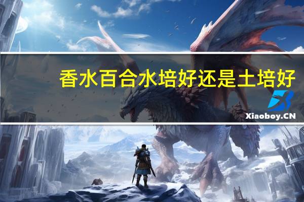 香水百合水培好还是土培好