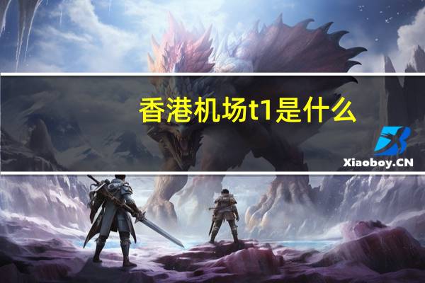 香港机场t1是什么