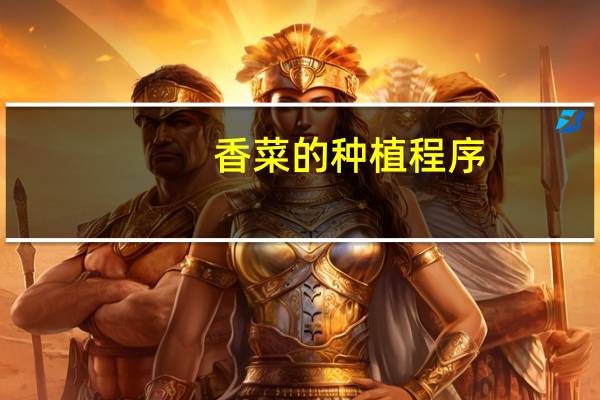 香菜的种植程序