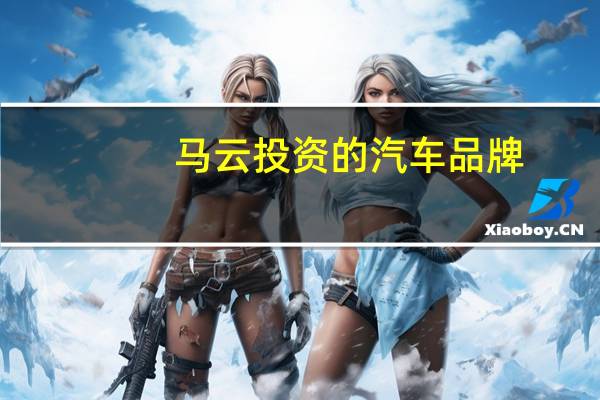 马云投资的汽车品牌