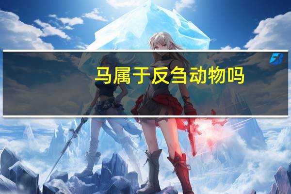 马属于反刍动物吗