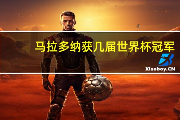 马拉多纳获几届世界杯冠军